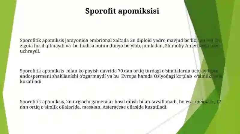Apomiksis klasifikatsiyasi 3