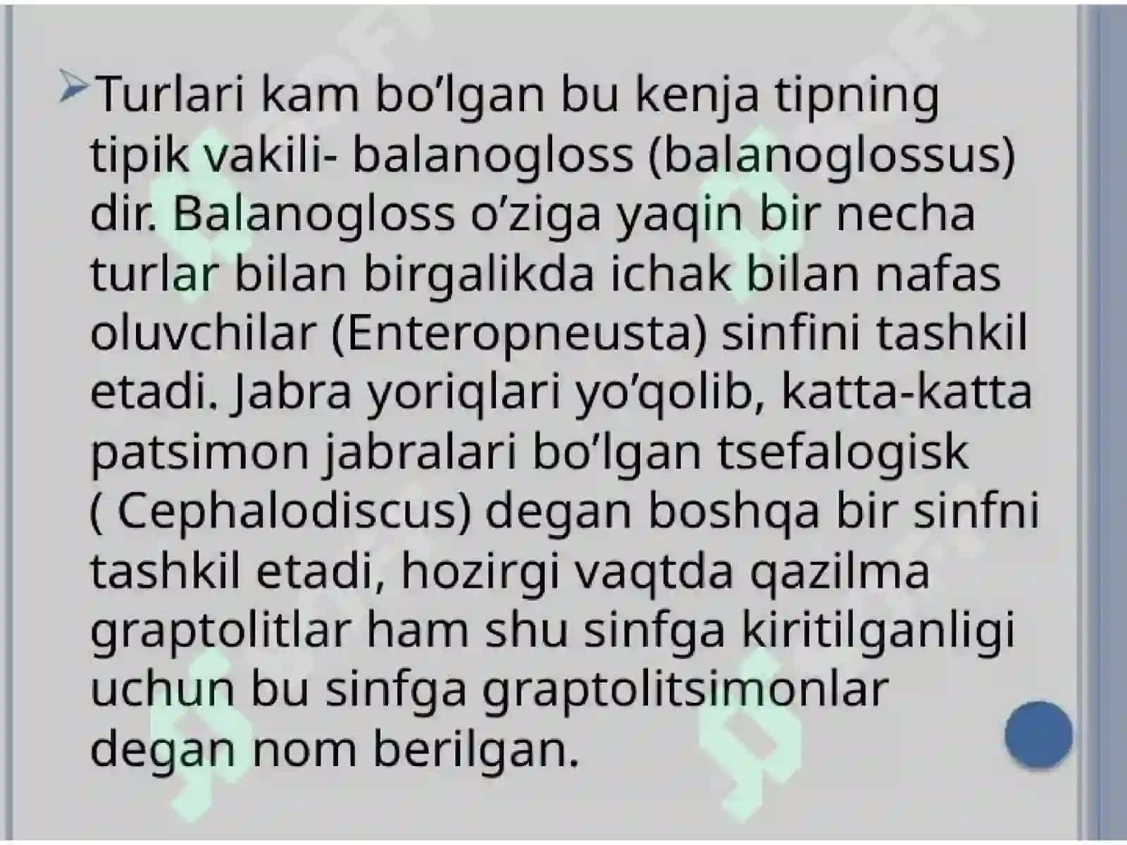 Chala xordalilar tipi 3