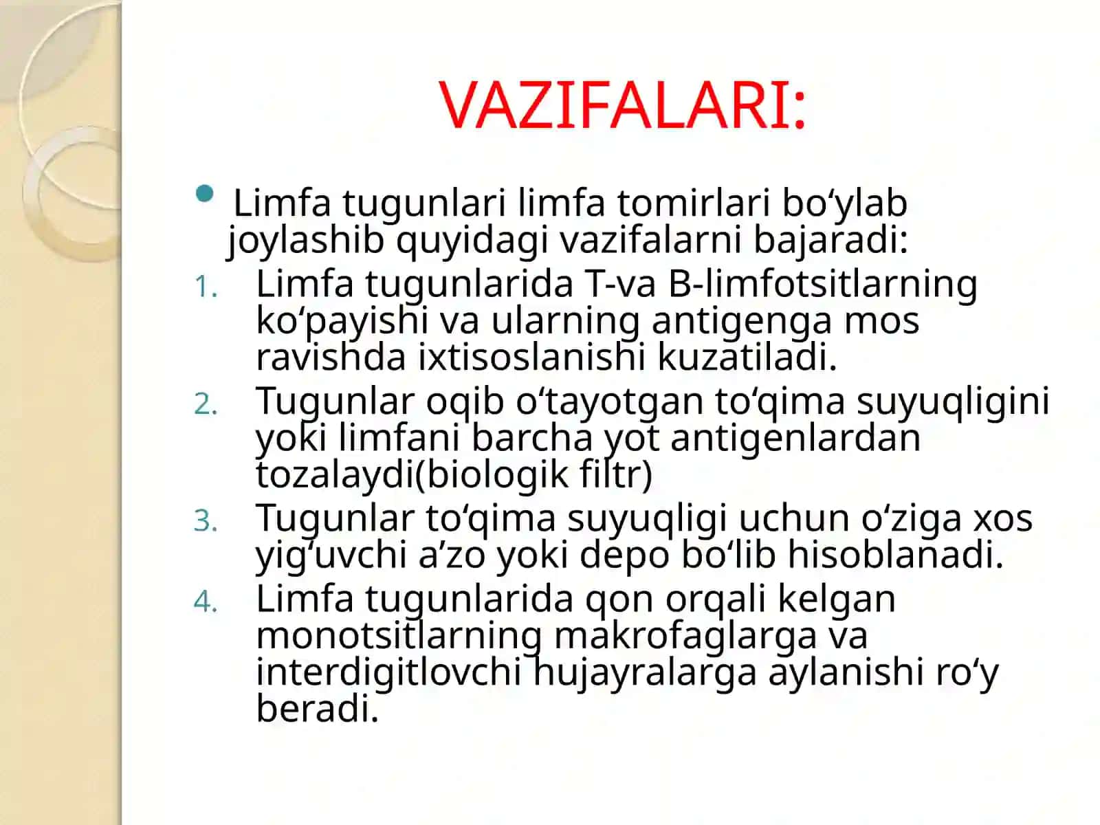 Limfa tugunlari 3