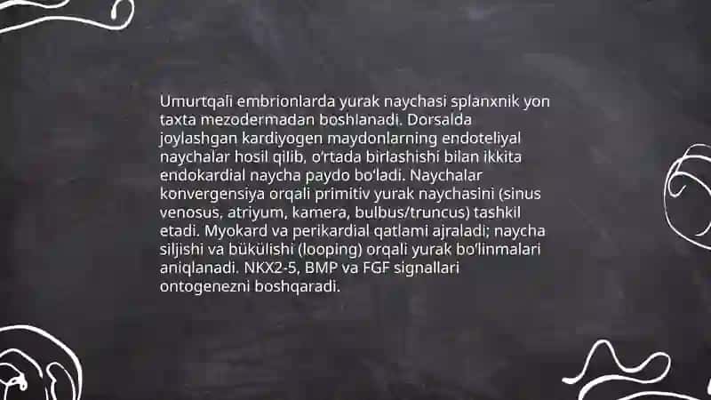 Umurtqali hayvonlarda yurak qon tomirlar onto-filogenezi 3