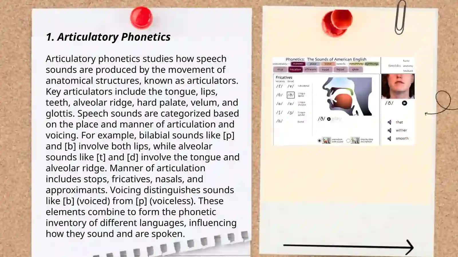 Phonetics 3