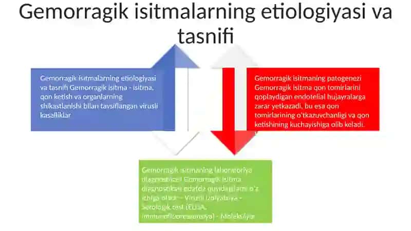 Gemorragik Isitma QoʻZgʻAtuvchilari, Patogenezi, Labaratoriya Tekshiruvi 3