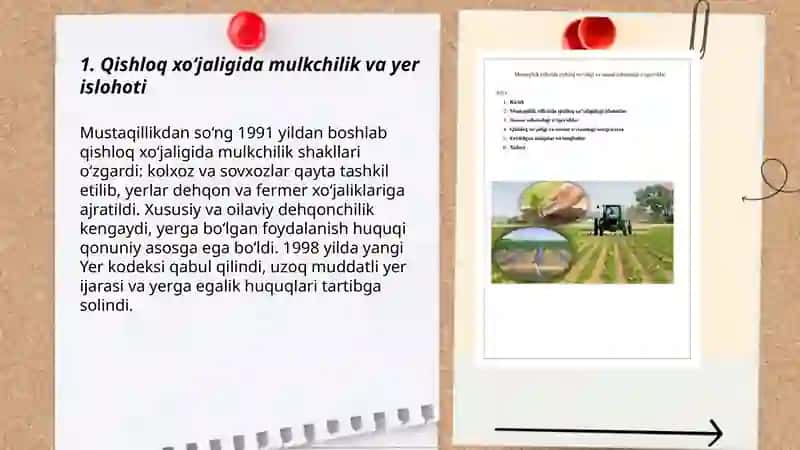Qishloq xo‘jaligida mulkchilik va yer islohoti 3