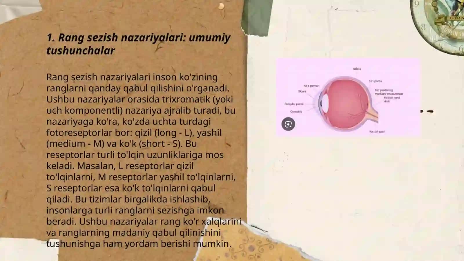 Rang sezish nazariyasi 3