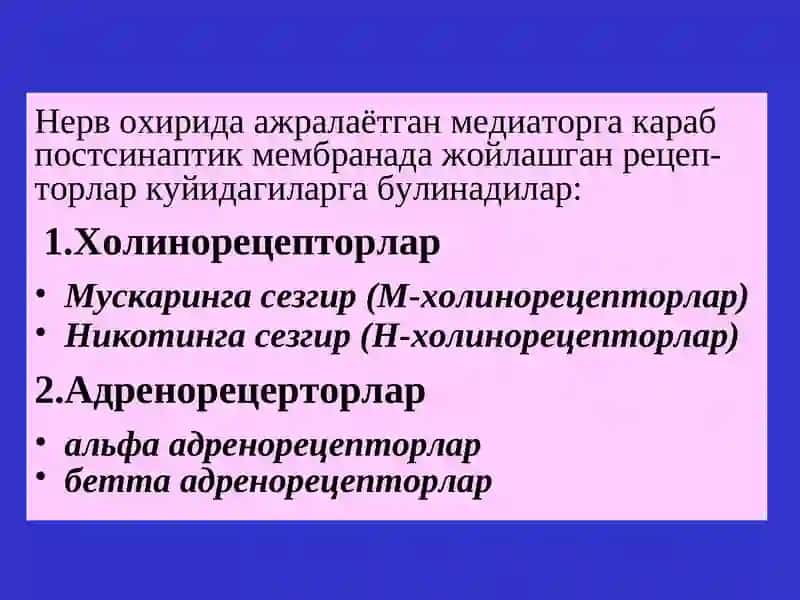 Эфферент иннервацияга таъсирэтувчи воситалар 3