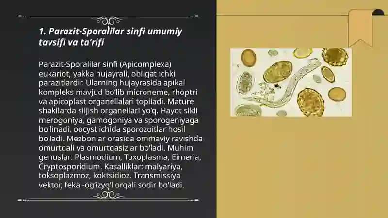 Parazit-Sporalilar sinfi 3