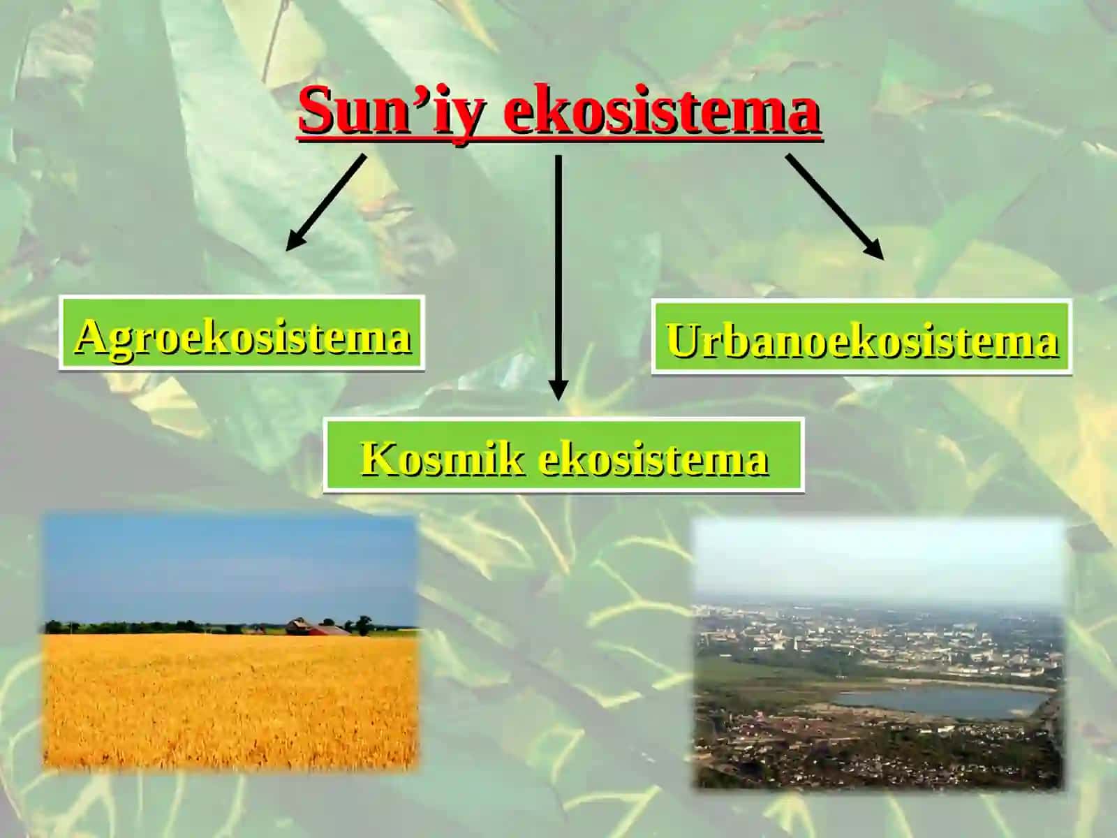 Sun’iy ekosistema 3