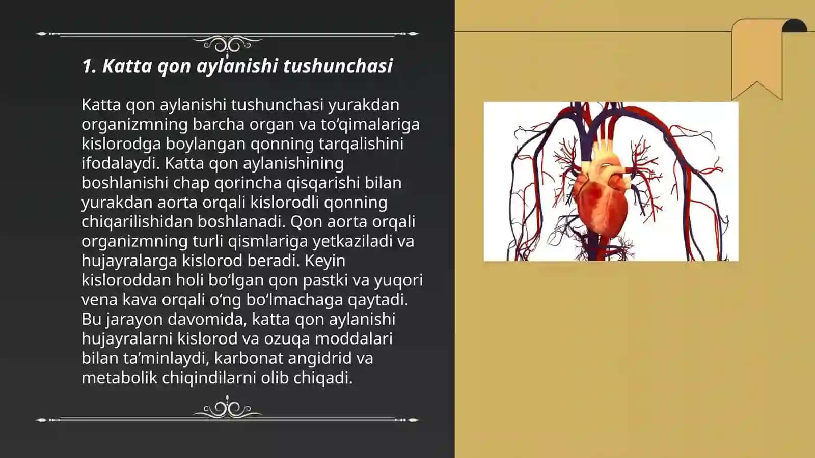 Katta qon aylanish doyrasi 3
