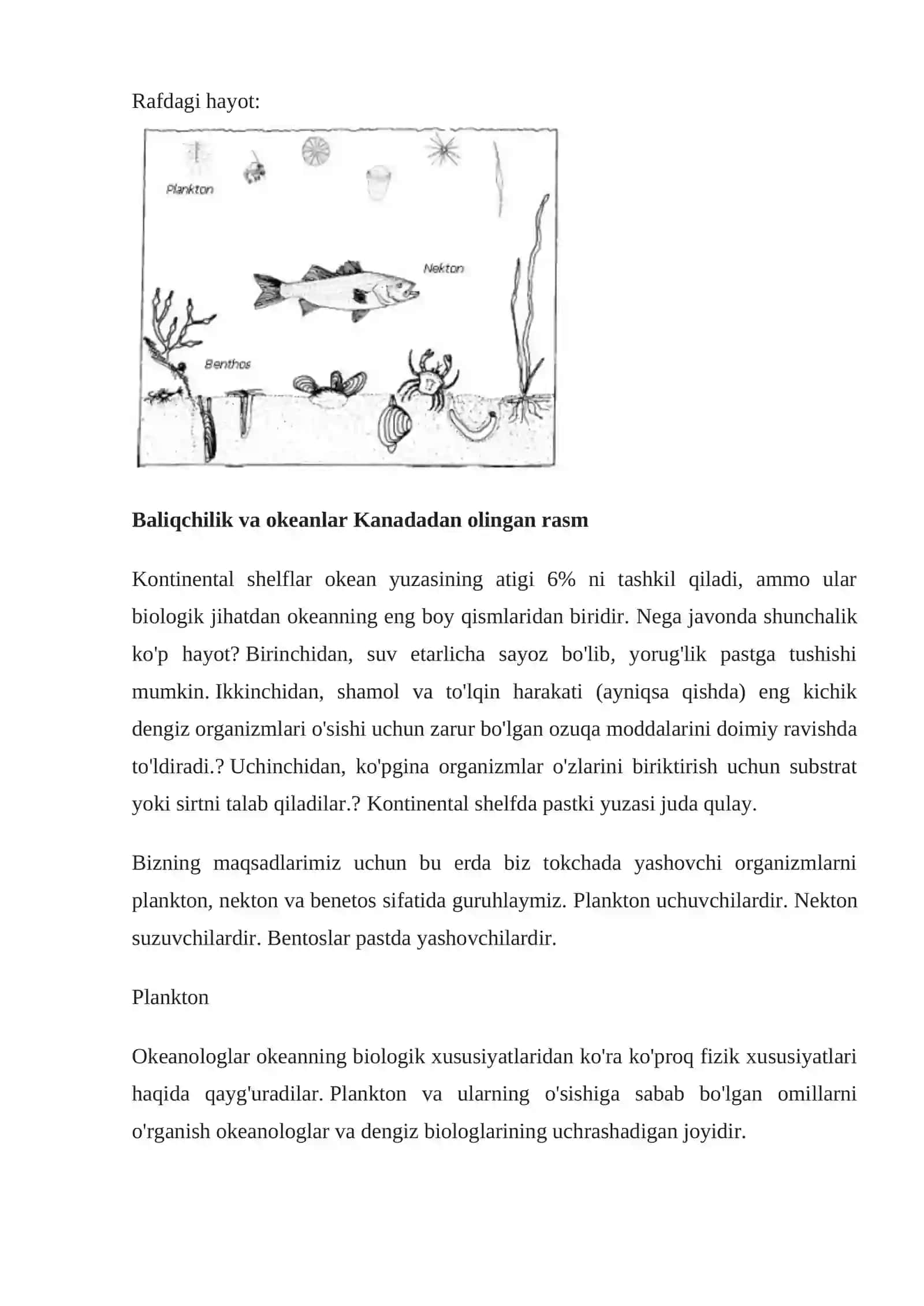 Ochiq okean organizmlari 3