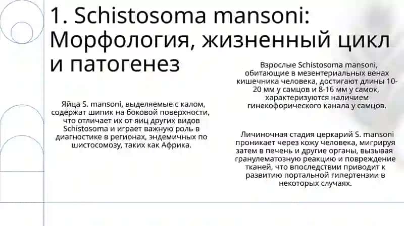 Opisthorchis felineus, Schistosoma mansoni, Schistosoma haematobium, Schistosoma japonicum 3