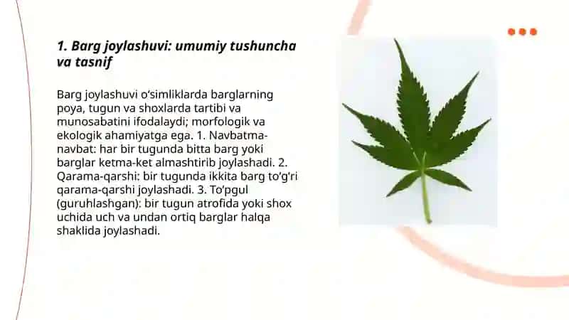 Oʻsimliklarning barg joylashuvi 3