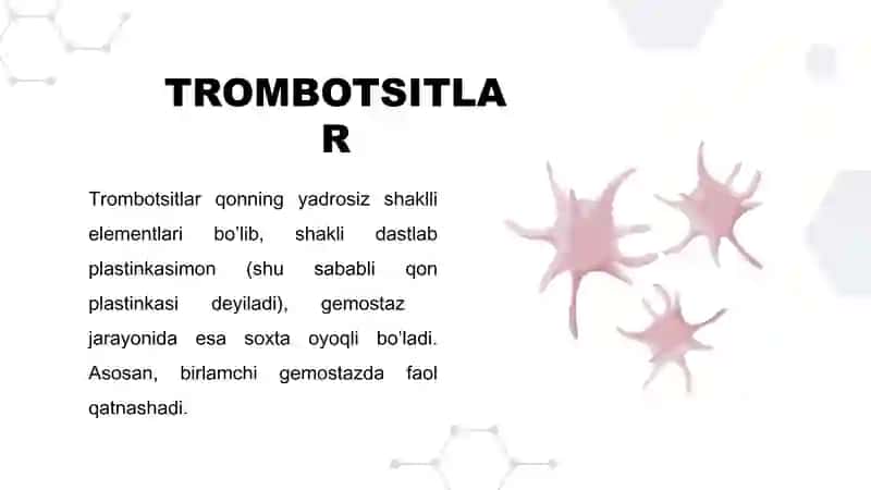 TROMBOTSITLAR VA QON IVISH MEXANIZMI Fiziologiya 3