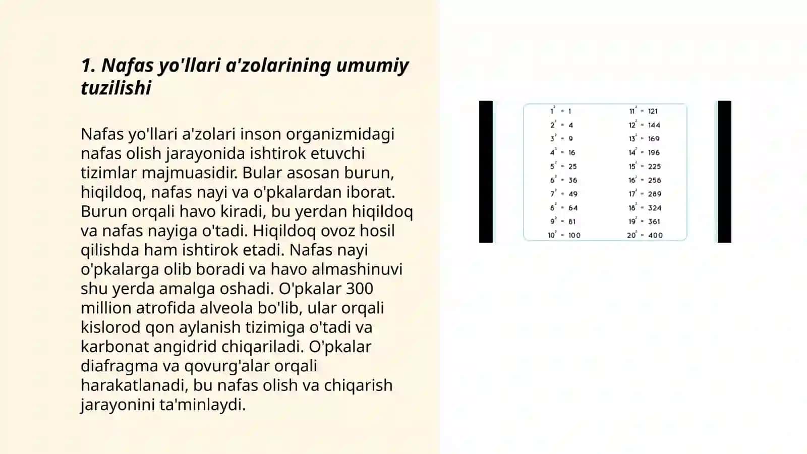 Nafas yo'llariga kiruvchi a'zolarni tuzilishi joylashishi 3