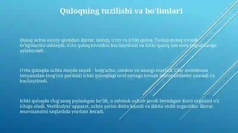 Sezgi aʼzolari. Quloq gistologiyasi 3