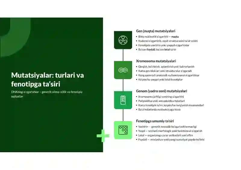 Iqtisodiy ihtiyorlar tahlili 3