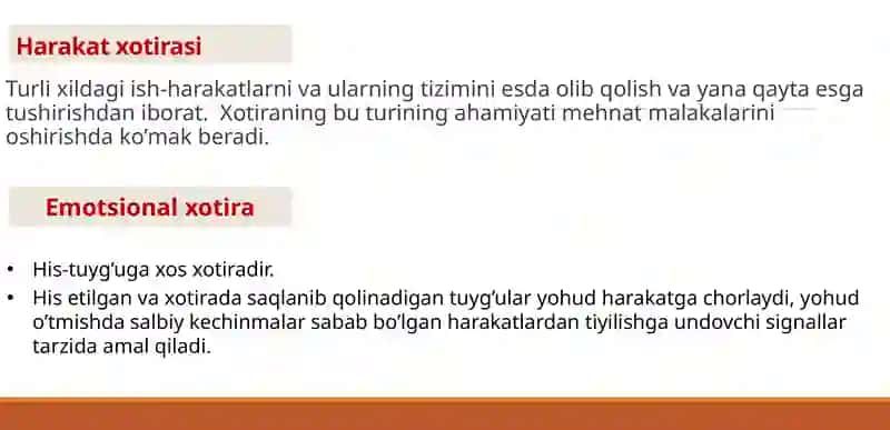 Xotira 3