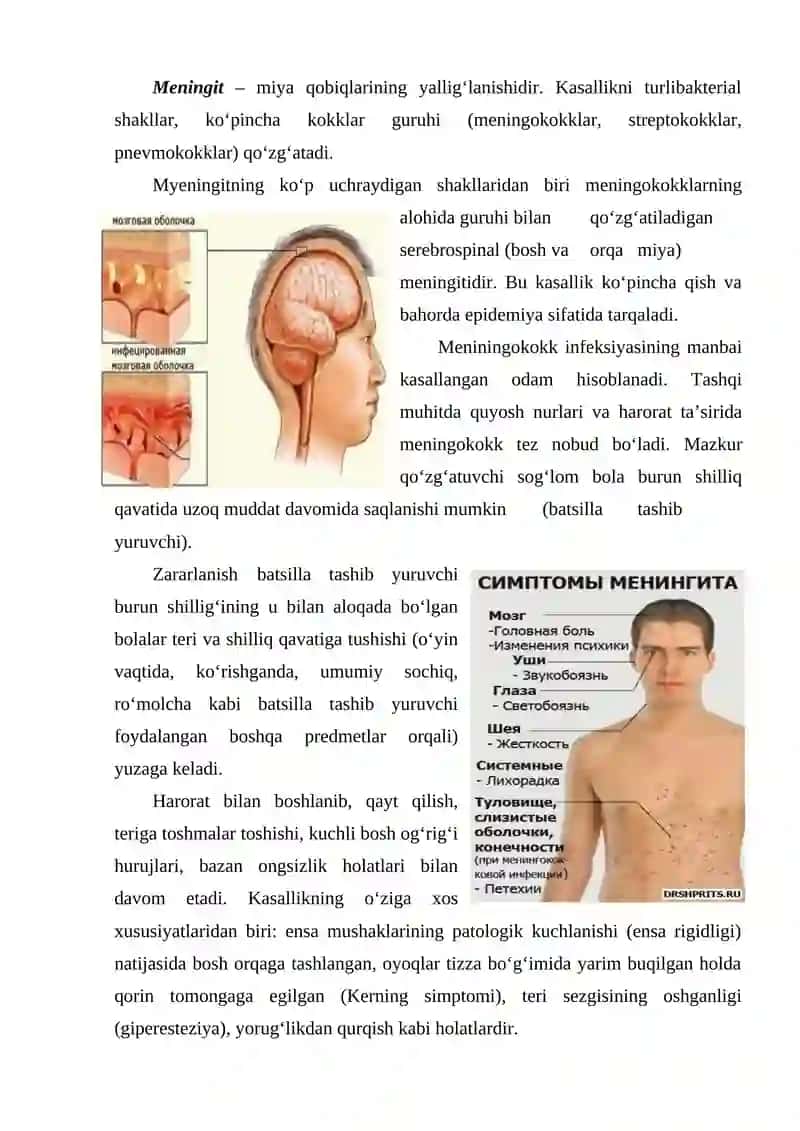 Bosh miya yarim sharlarining oliy faoliyati nerv tizimining kasalliklari 3