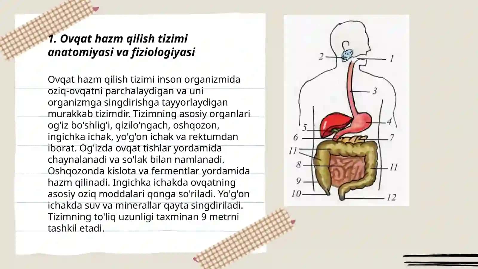 Ovqat hazm qilish kasalliklaridagi bemorlarni parvarishlash 3