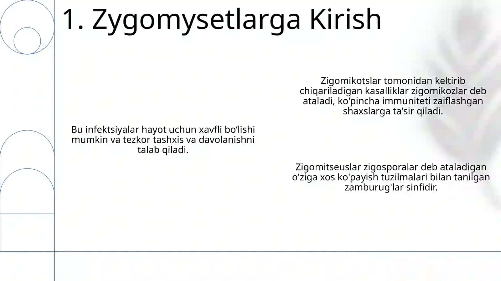 Zigomitsetlar sinfi vakillari qo'zg'atuvchi kasalliklarni o'rganish 3