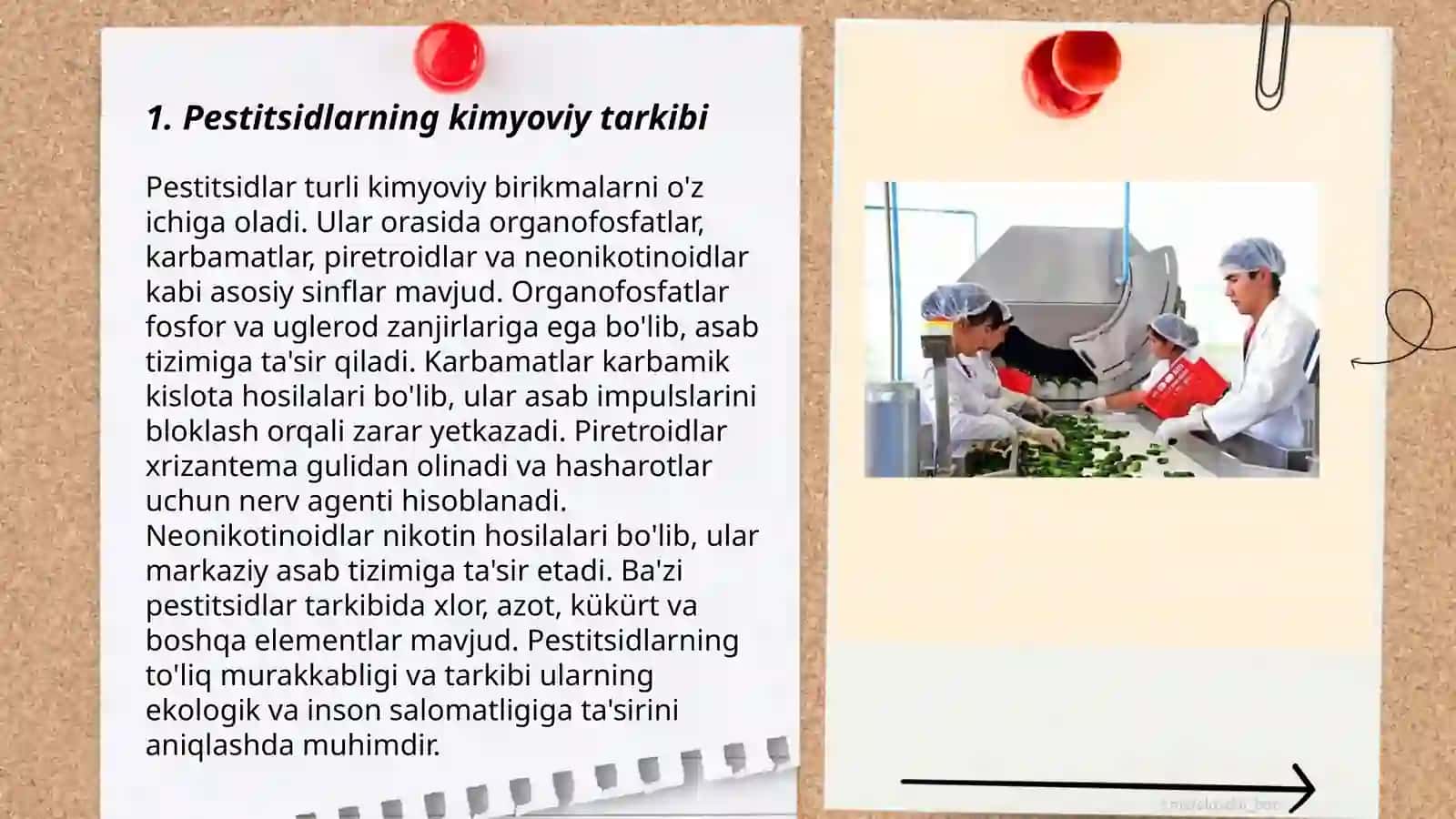 Ishlab chiqarishda keng qo‘llaniladigan pestitsidlar gigienasi va toksikologiyasi 3