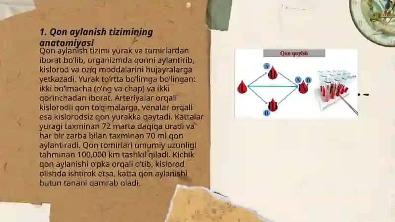 Qon aylanish sistemasining fizik asoslari 3