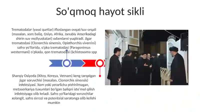 Soʼrgʼichlar odam parazitlari 3