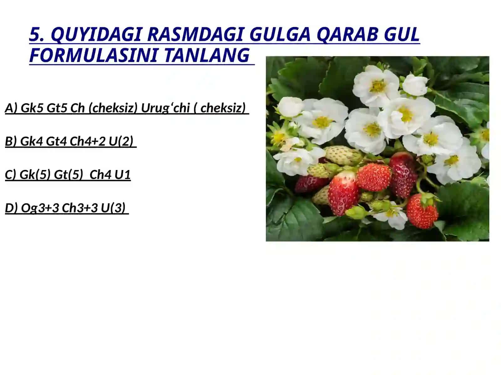 ODDIY NAMATAKGA XOS TOʻGʻRI XUSUSIYATLAR BERILGAN JAVOBNI TOPING 3