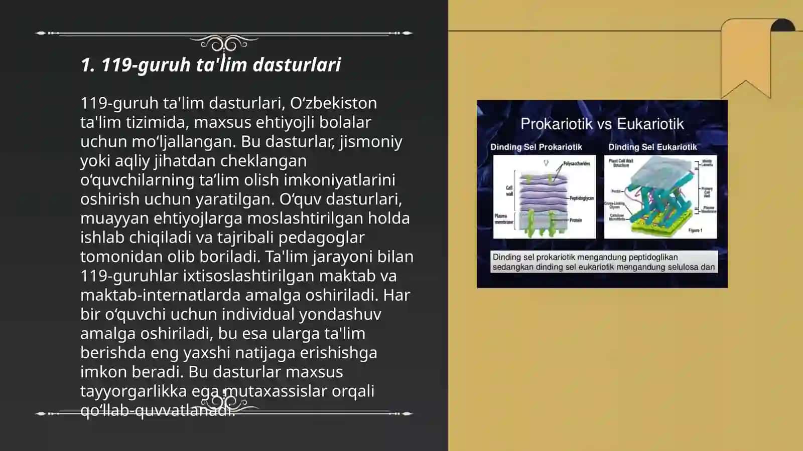 119-guruh ta'lim dasturlari 3