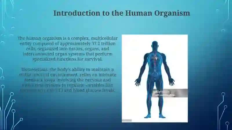 The Integrated Human: Anatomy, Physiology, and Homeostasis 3