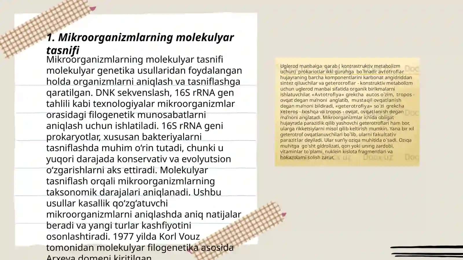 Mikroorganizmlarning zamonaviy sistematikasi 3