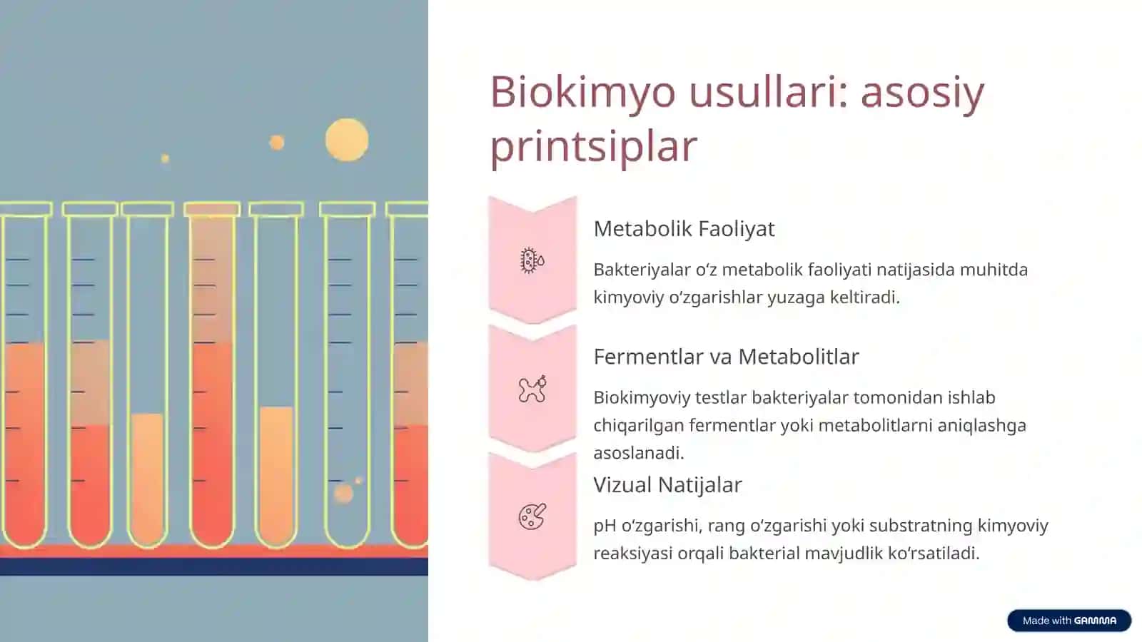 Biologik Ashyoni Bakterial Kontaminatsiyasini Biokimyo Usulida Aniqlash 3