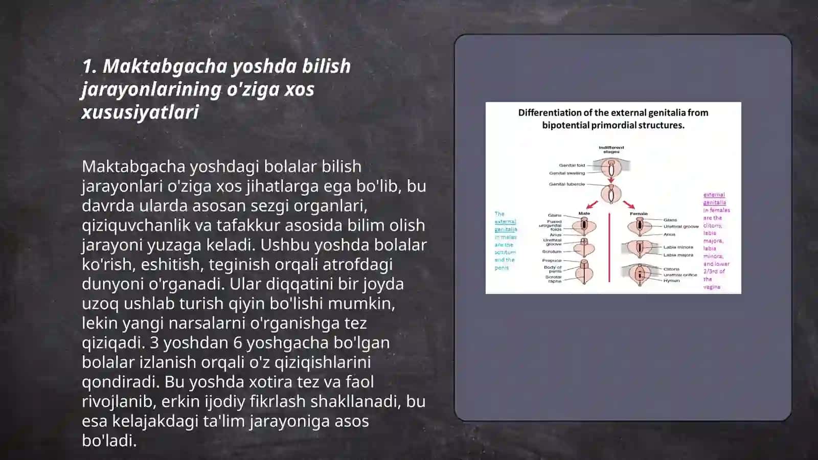 Maktabgacha yosh davri bilish jarayonlari 3
