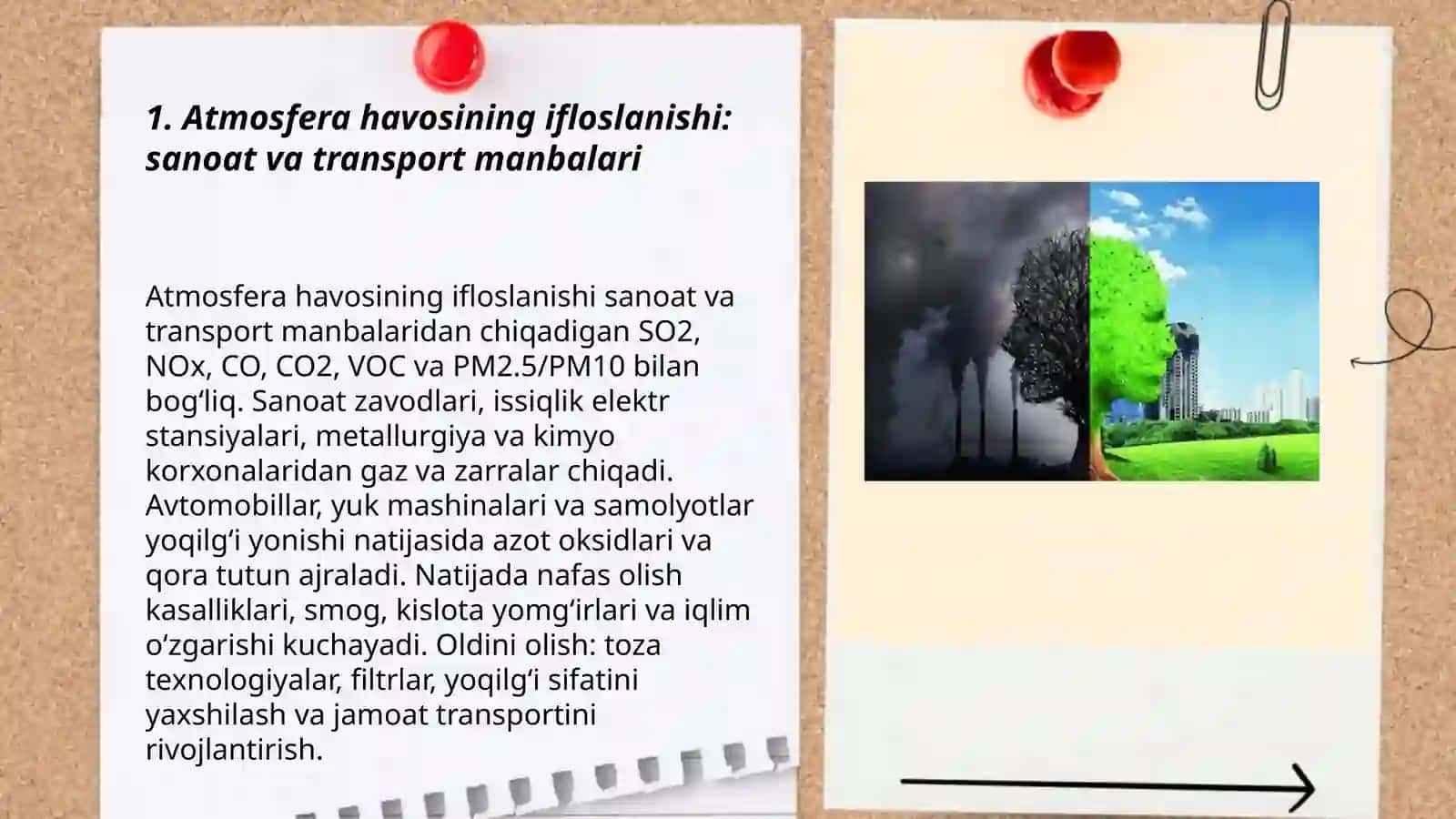 Inson faoliyatining tabiatga ta'siri va tabiatning javobi 3