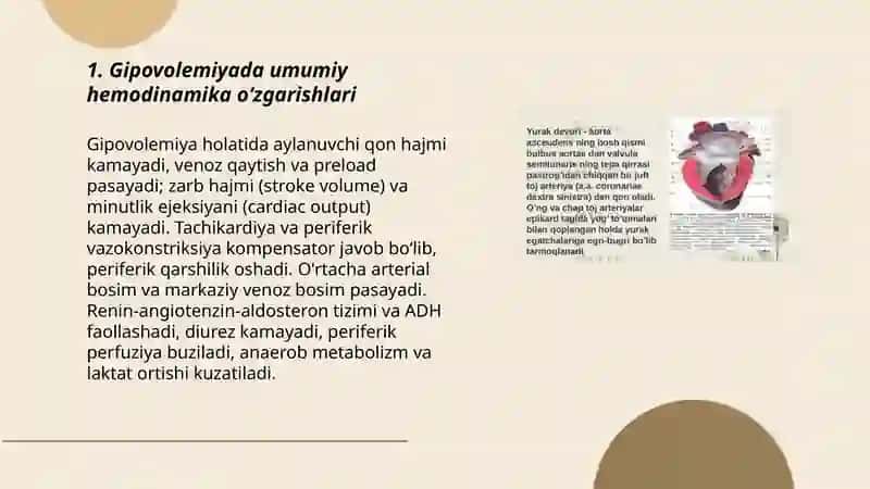 Gipovolemiyalarda qon aylanishining oʻzgarishlari 3
