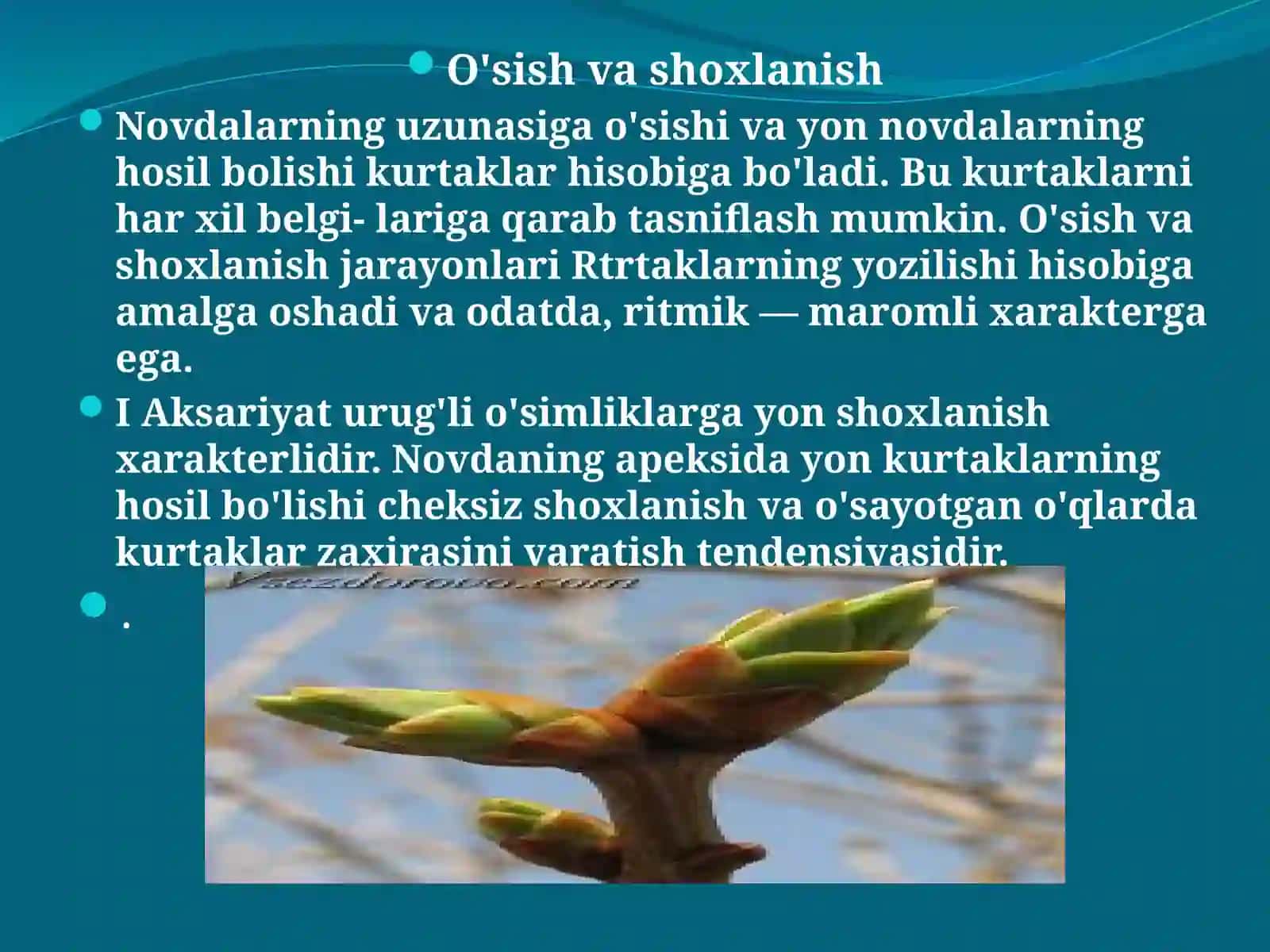 Sistemasning hoşil bo'lishi 3