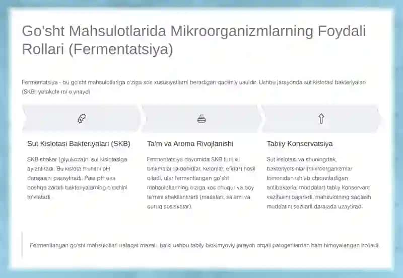 Go'sht Mahsulotlari Ishlab Chiqarishda Mikroorganizmlarning O'rni 3
