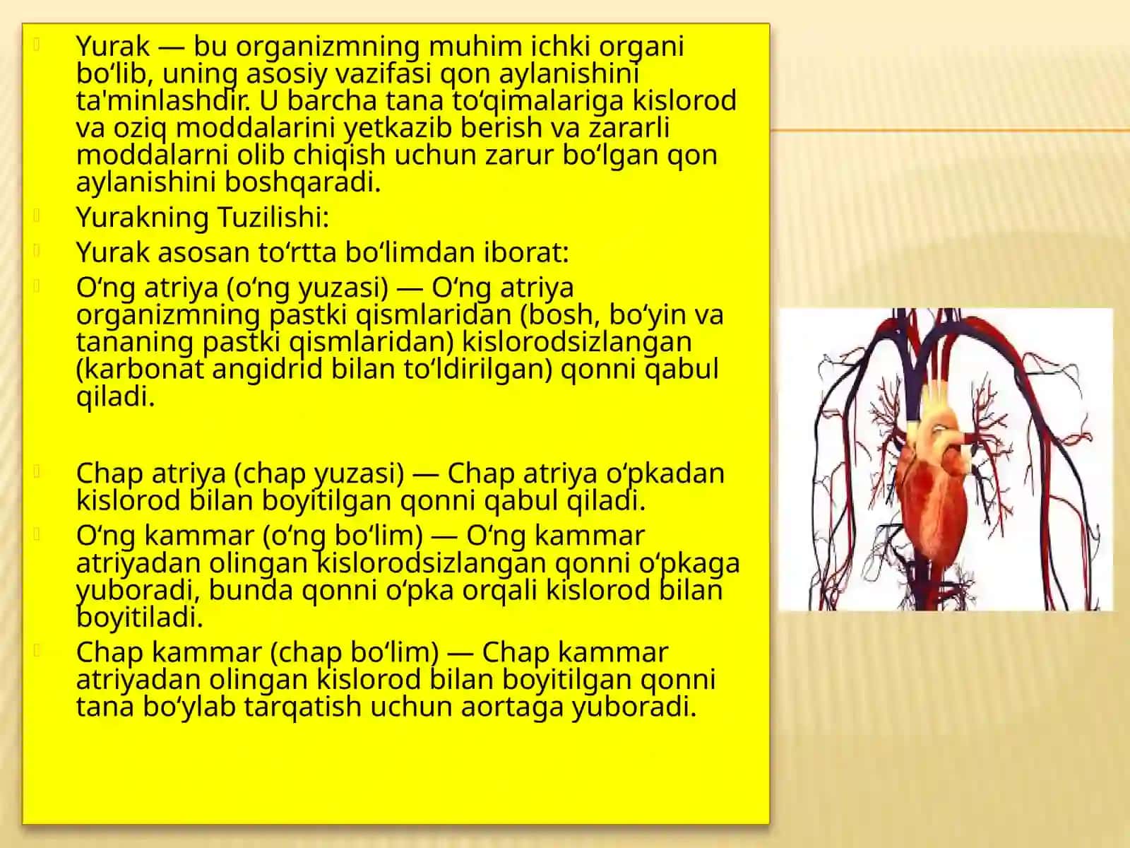 Narmal fiziyologiya fanidan 3