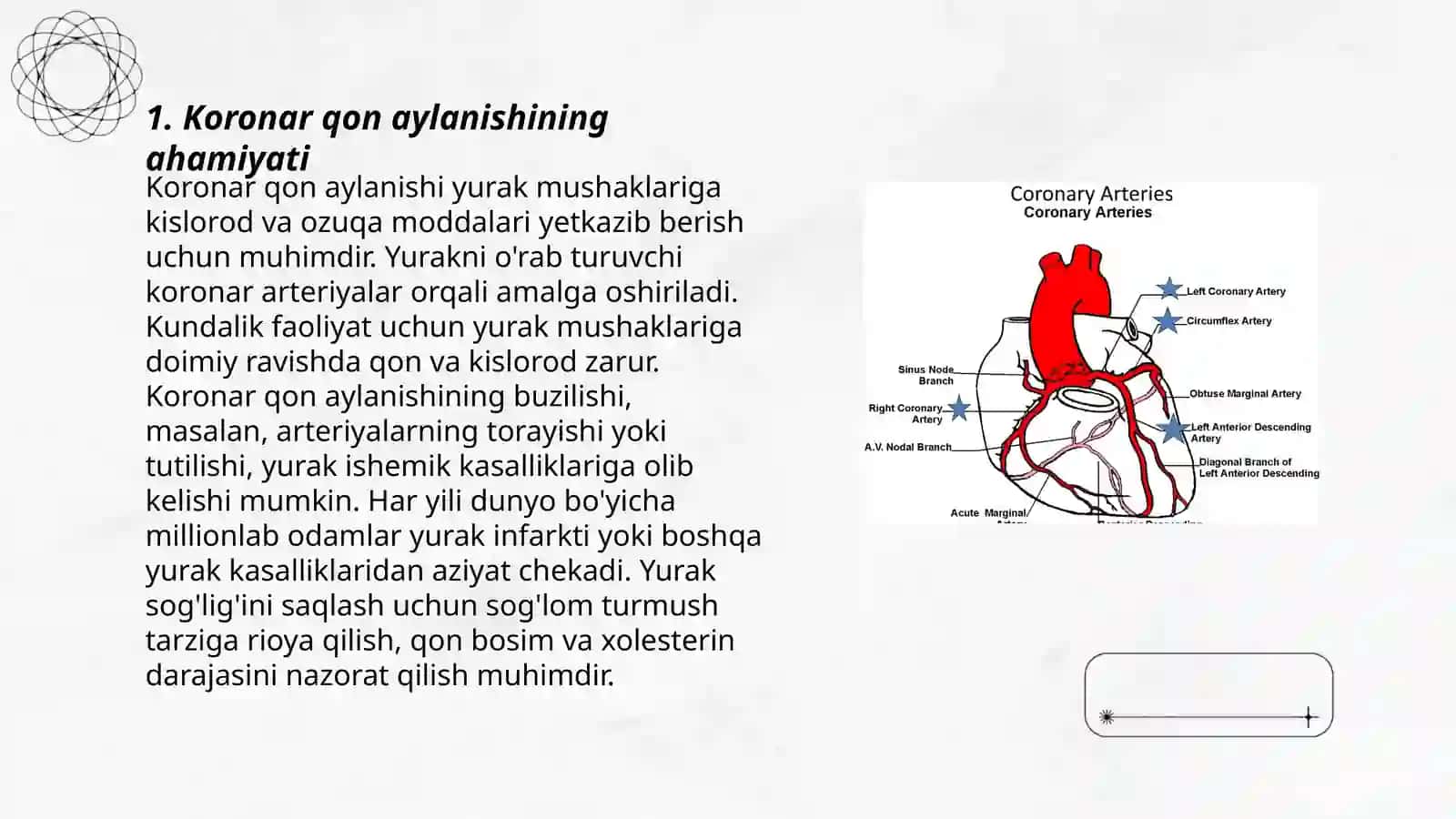 Koronar qon aylanishining xususiyati.QSX va QMX aniqlash usullari 3