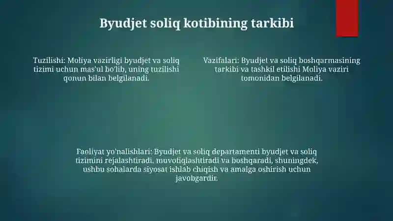 Bujet Soliq Sektori Va Uning Tarkibi 3