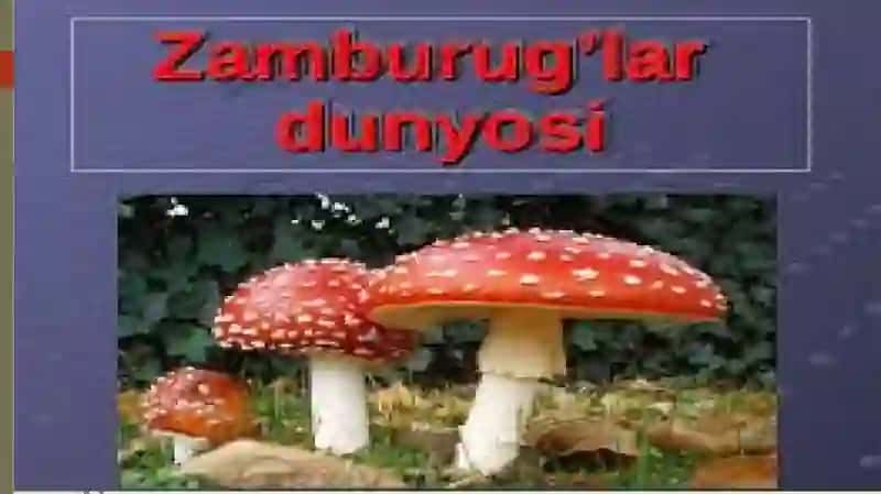 Oziq-ovqat sanoatida ishlatiladigan suvo’tlari va zamburug’larning ahamiyati. 3