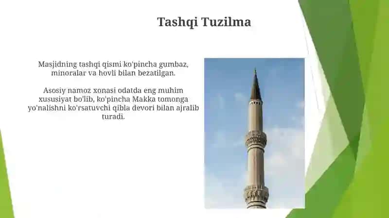 Bosh miyaning tuzilishi 3