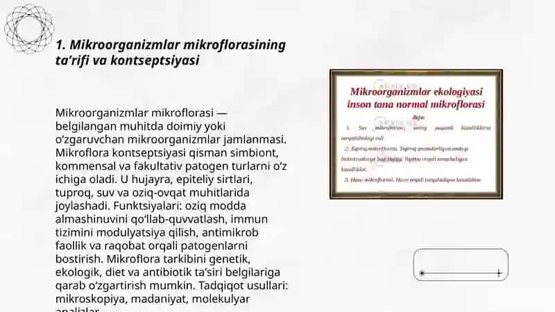 Mikroorganizmlar mikroflorasi 3