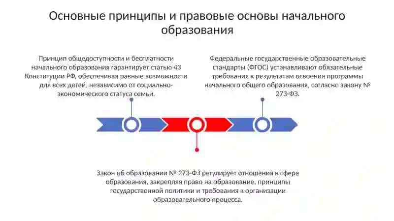 Основные принципы и правовые основы начального образования 3