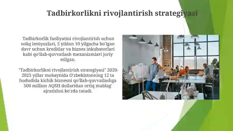 Tadbirkorlikni rivojlantirish strategiyasi 3