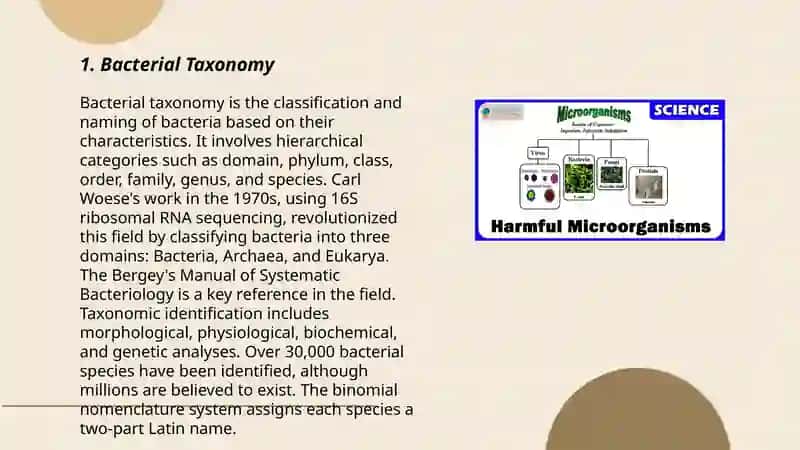 Bacterial Taxonomy 3
