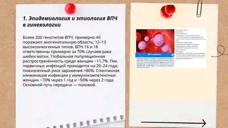 Впч и герпес этиология патогенез клиника диагностика лечение и профилактика в гинекологии 3