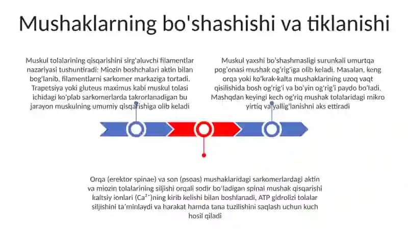 Sirpanuvchi ipchalar modeli 3