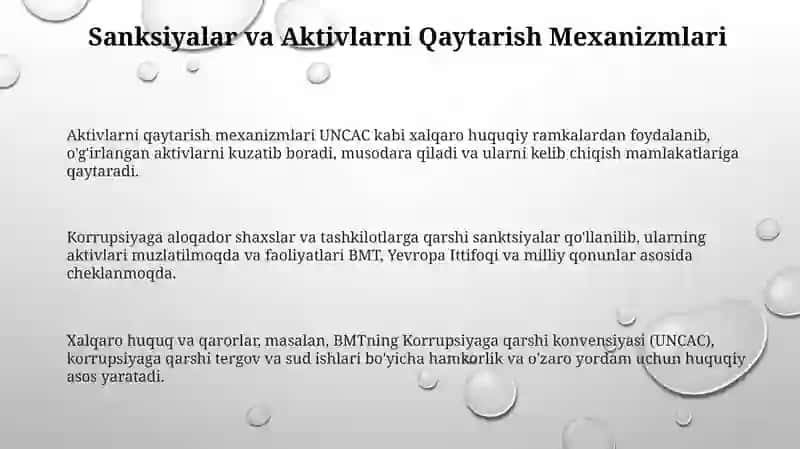 Korruptsiyaga qarshi kurashish bo'yicha xalqaro qonunlar va qarorlar 3