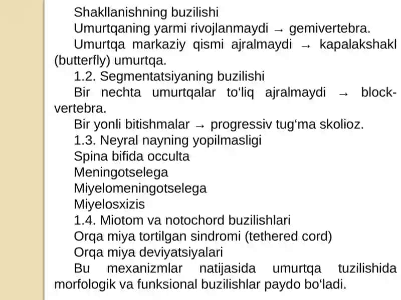 Umurtqatug’maanomaliyalari 3