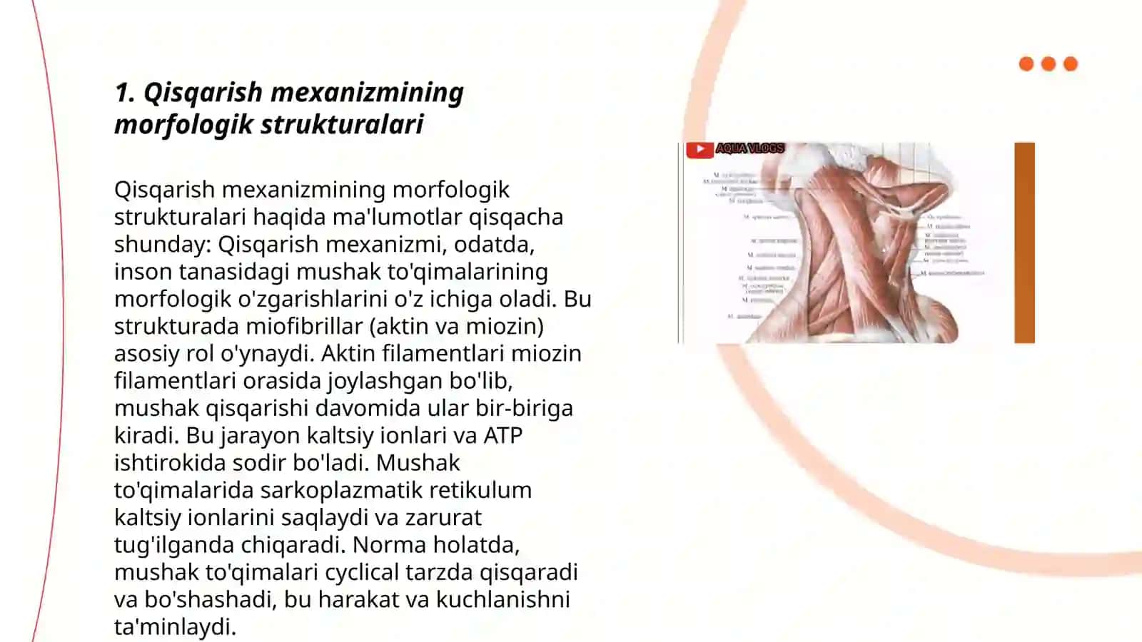 Qisqarish mexanizmining morfologik asoslari 3